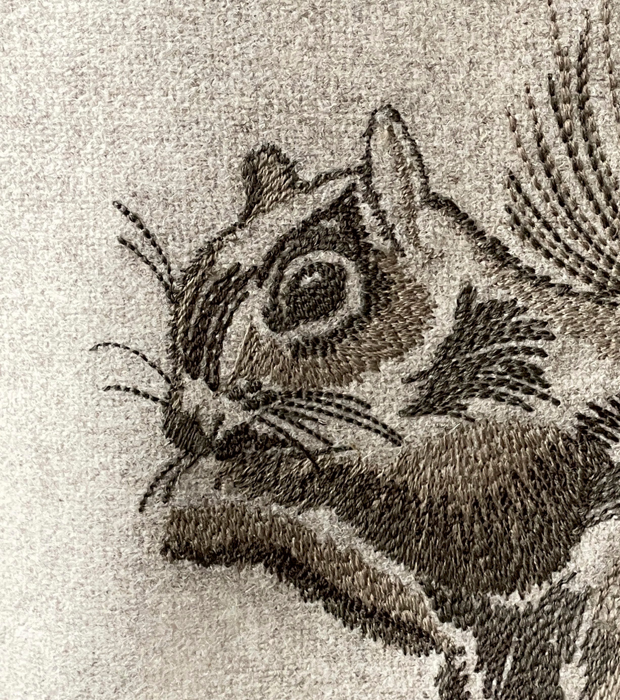 Cuscino lana melange ricamo coll. RITRATTI scoiattolo