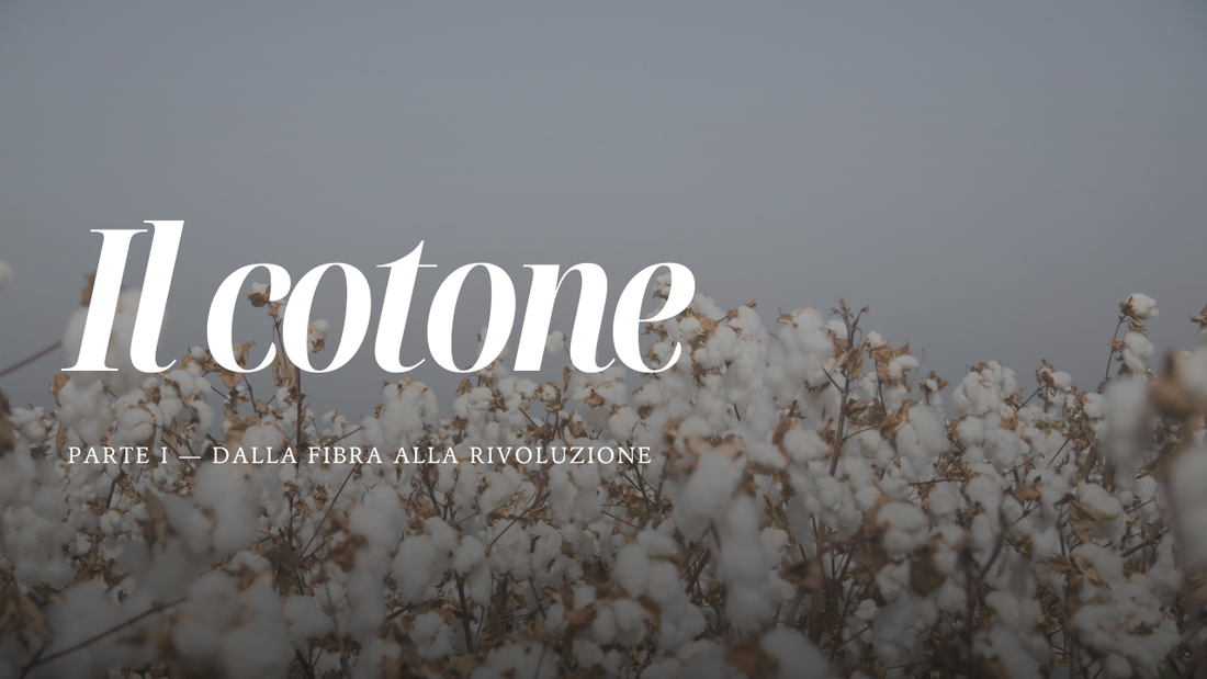 Il cotone. Parte I — Dalla fibra alla rivoluzione