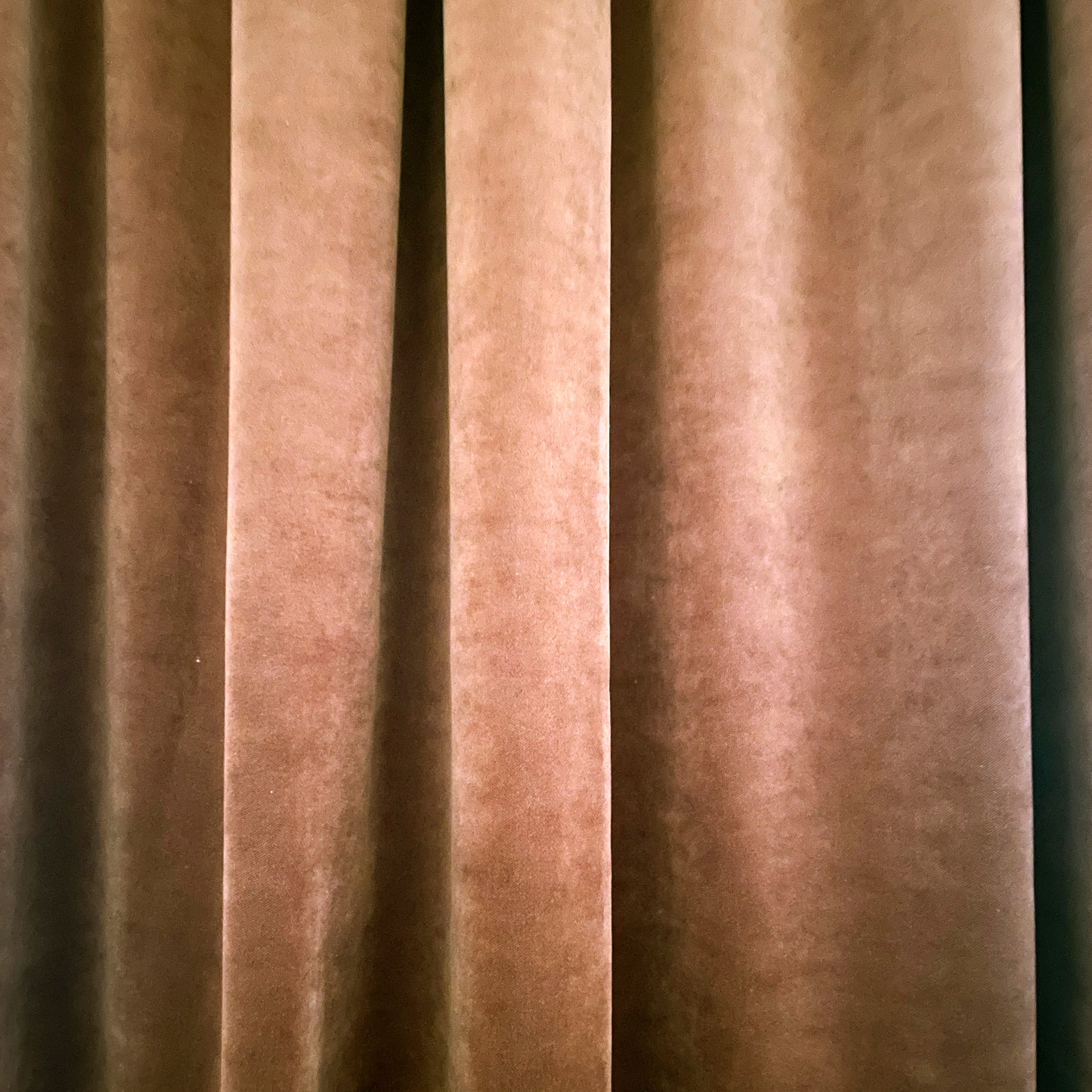 Velvet curtain with embroidery in the woods